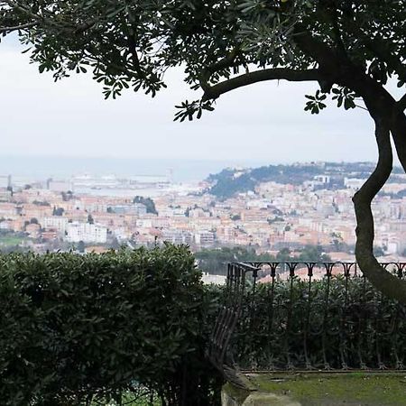 D'Ago48 Bed & Breakfast Ancona Exterior foto